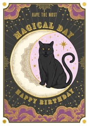 Magic Cat