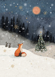 Snow Fox