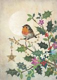 Robin