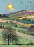 Pola Fields