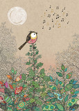 Song Bird